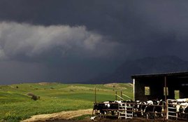 winter, winters late, winters india, india winter, winter season, weather news, El Nino, Indian monsoo, El Nino effect, warm winter, सर्दियां, सर्दियों में देरी