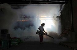 US में भी घुसा Zika: WHO ने बनाई इमरजेंसी टीम, दी चेतावनी: खतरनाक रूप ले रहा यह वायरस