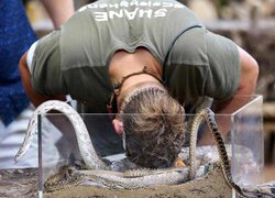 रियलिटी शो के दौरान शेन वॉर्न को एनाकोंडा ने काटा, फिर भी पूरा किया टास्क