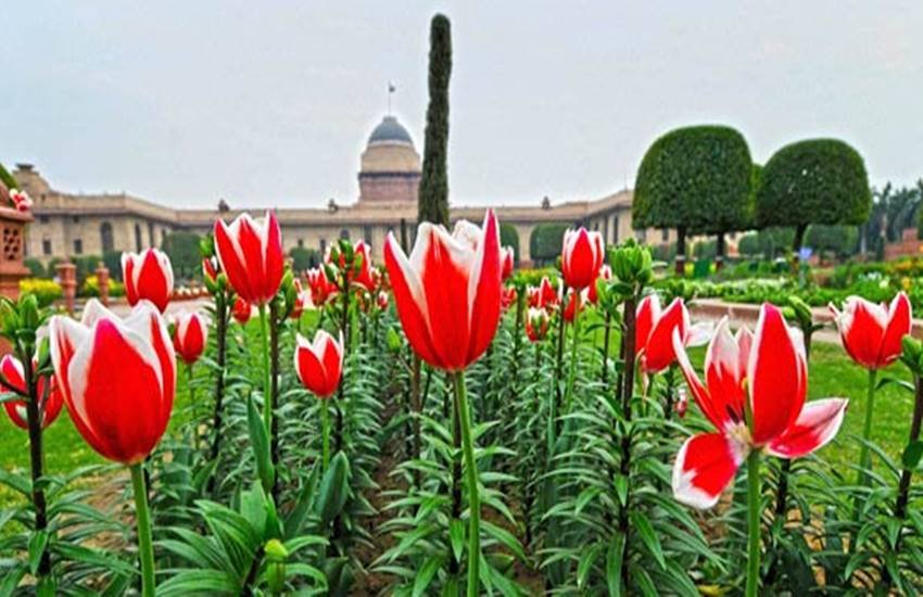 General public today, Mughal Gardens, president pranab mukherjee, Rashtrapati Bhavan