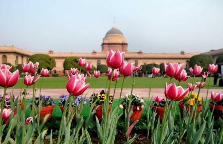 General public today, Mughal Gardens, president pranab mukherjee, Rashtrapati Bhavan