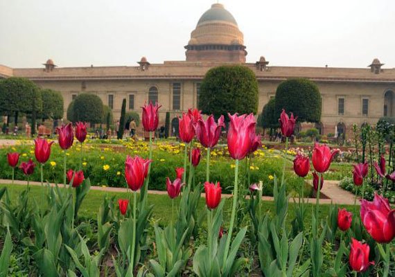 General public today, Mughal Gardens, president pranab mukherjee, Rashtrapati Bhavan