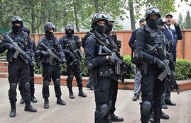 NSG, 600 commandos, VVIP duty, Pathankot Attack, Delhi