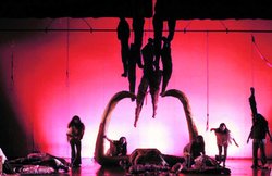 भारंगम: छवियों के बीच