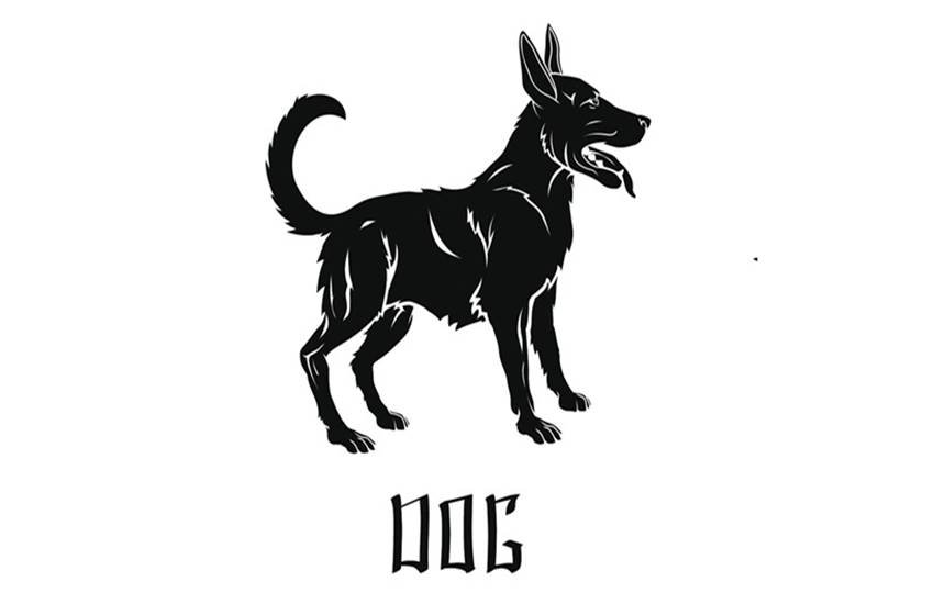 Chinese new year, chinese zodiac, chinese astrology, animals, Year of the Monkey, Year of the Goat, horoscope, 2016, Rat, Ox, Tiger, Rabbit, Dragon, Snake, Horse, Goat, Monkey, Rooster, Dog, and Pig, love, career, relationships, conflict, disputes, lawsuit, money, finances, jobs, romance, marriage
