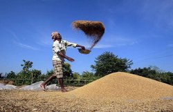 Food Security Act लागू न करने पर सुप्रीम कोर्ट ने लगाई मोदी सरकार को फटकार