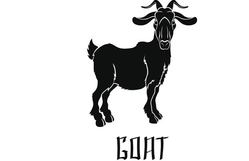 Chinese new year, chinese zodiac, chinese astrology, animals, Year of the Monkey, Year of the Goat, horoscope, 2016, Rat, Ox, Tiger, Rabbit, Dragon, Snake, Horse, Goat, Monkey, Rooster, Dog, and Pig, love, career, relationships, conflict, disputes, lawsuit, money, finances, jobs, romance, marriage