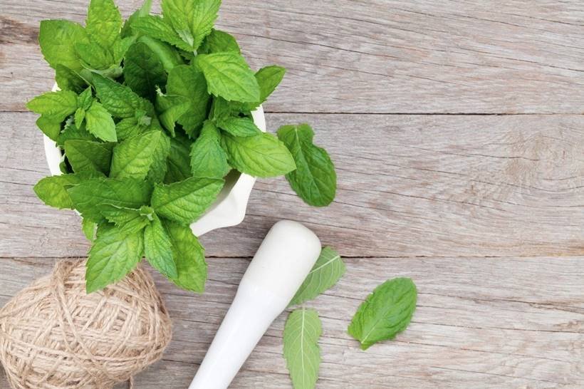 lose weight, lose belly fat, losing belly fat, flat toned stomach, foods to lose weight, weight loss, weight loss foods, foods for flat stomach, lemon juice for lose weight, पेट की चर्बी, तोंद, तोंद घटाएं, पेट की चर्बी कम करें, तोंद घटाने के उपाय, पेट की चर्बी घटाएं, ऐलोवेरा ज्यूस, वजन घटाने के उपाय