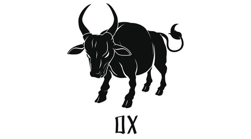 Chinese new year, chinese zodiac, chinese astrology, animals, Year of the Monkey, Year of the Goat, horoscope, 2016, Rat, Ox, Tiger, Rabbit, Dragon, Snake, Horse, Goat, Monkey, Rooster, Dog, and Pig, love, career, relationships, conflict, disputes, lawsuit, money, finances, jobs, romance, marriage
