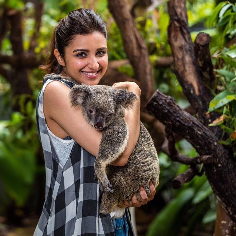 parineeti chopra, parineeti chopra pics, parineeti chopra australia pics, parineeti chopra photos, parineeti chopra australia photos, parineeti chopra wildlife, parineeti chopra hot air balloon, parineeti chopra in australia, parineeti chopra twitter pics, parineeti chopra insta pics, parineeti chopra movies, parineeti pics, parineeti photos, parineeti in australia, entertainment