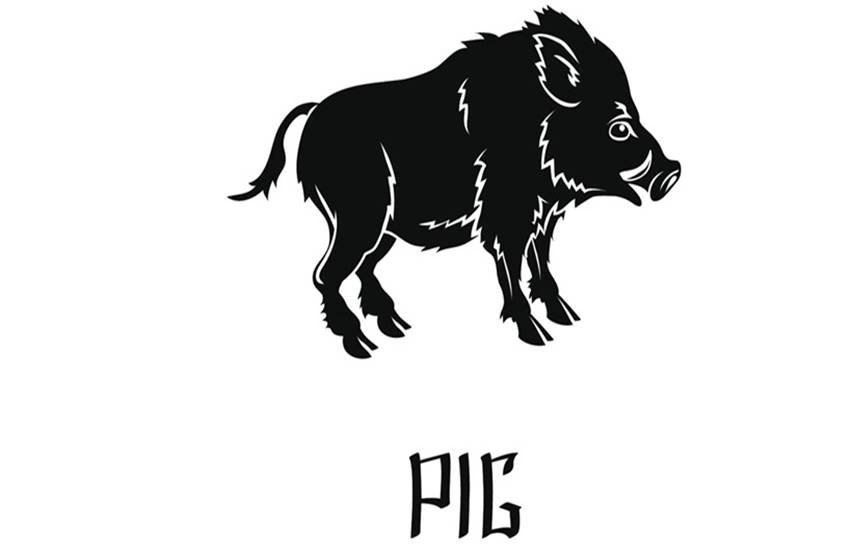 Chinese new year, chinese zodiac, chinese astrology, animals, Year of the Monkey, Year of the Goat, horoscope, 2016, Rat, Ox, Tiger, Rabbit, Dragon, Snake, Horse, Goat, Monkey, Rooster, Dog, and Pig, love, career, relationships, conflict, disputes, lawsuit, money, finances, jobs, romance, marriage