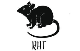 Chinese new year, chinese zodiac, chinese astrology, animals, Year of the Monkey, Year of the Goat, horoscope, 2016, Rat, Ox, Tiger, Rabbit, Dragon, Snake, Horse, Goat, Monkey, Rooster, Dog, and Pig, love, career, relationships, conflict, disputes, lawsuit, money, finances, jobs, romance, marriage