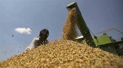 चावल निर्यात में एक हजार करोड़ का घोटाला