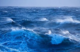"temperature,Sea levels,scientists,global warming,20th century