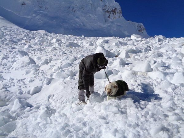 Siachen Miracle Rescue, #SiachenMiracle, siachen glacier, N. Y. Hanumanthappa, siachen, avalanche, Lance Naik Hanamanthappa, avalanche survivor, Siachen latest news, Hanumanthappa, Siachen survivor, soldier found alive, Siachen Miracle Rescue facts, हनमनथप्‍पा, सियाचिन ग्‍लेशियर, सियाचिन, Siachen Miracle Rescue facts