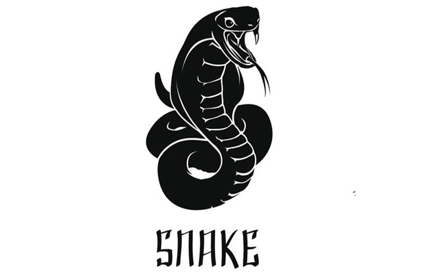 Chinese new year, chinese zodiac, chinese astrology, animals, Year of the Monkey, Year of the Goat, horoscope, 2016, Rat, Ox, Tiger, Rabbit, Dragon, Snake, Horse, Goat, Monkey, Rooster, Dog, and Pig, love, career, relationships, conflict, disputes, lawsuit, money, finances, jobs, romance, marriage