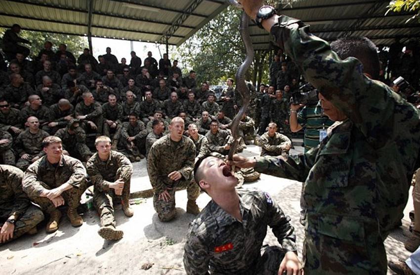 north korea, kim jong un, south korea, south korea commando, south korea north korea relation, assassinate Kim Jong un, kim jong un assassinate plan, south korea black commandoes, kim jong un killing plan, उत्‍तर कोरिया, दक्षिण कोरिया, किम जोंग उन, दक्षिण कोरिया कमांडोज, किम जोंग उन हत्‍या