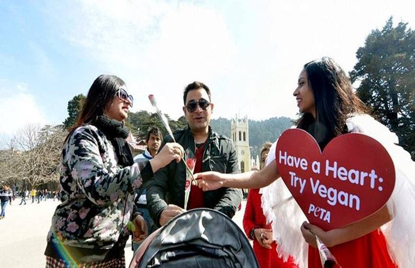 valentine day , valentine day 2016, valentine day around the world, picture of valentine day