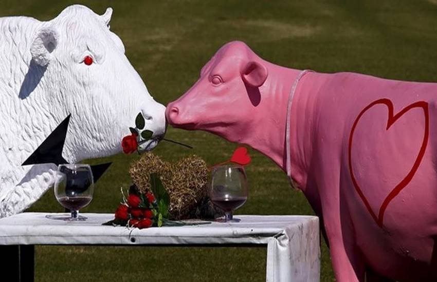 valentine day , valentine day 2016, valentine day around the world, picture of valentine day