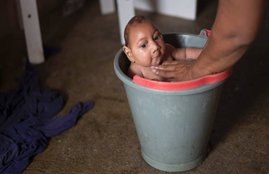 jansatta article, jansatta opinion, jansatta story, zika virus