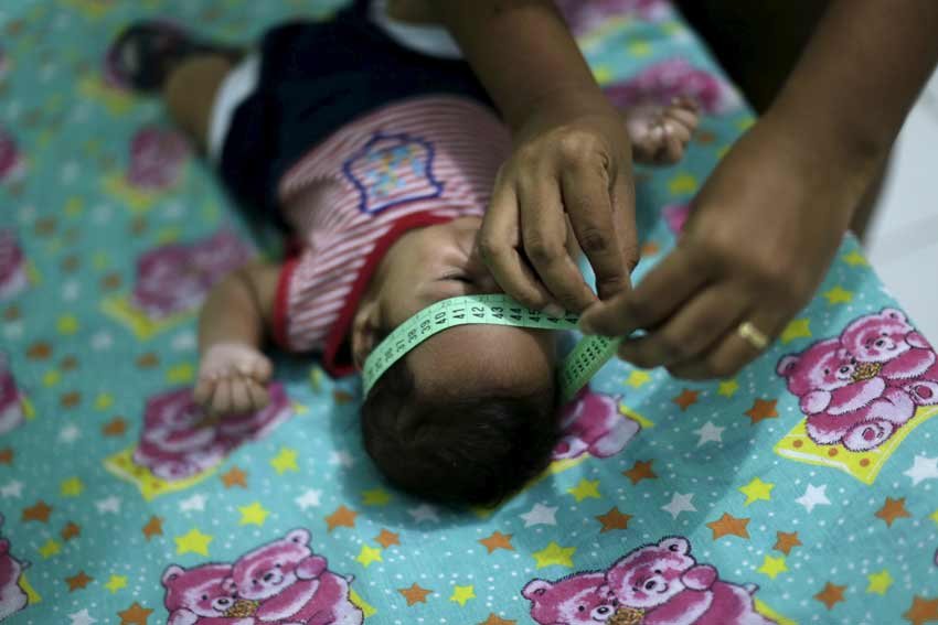 zika virus, zika virus in india, zika virus global alert, india should worry, zika virus brazil, zika virus who, world health organization, microcephaly, zika symptoms, zika vaccacine, latest news in hindi