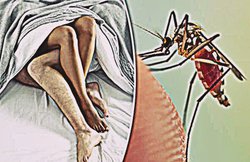 Sexual Relationship बनाने पर भी फैलने लगा Zika वायरस, US में सामने आया केस