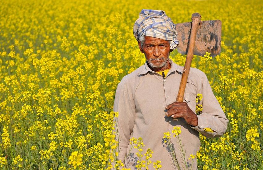 Vijay Mallya, Vijay Mallya Flee, Tamil Nadu, THANJAVUR, farmer loan, Loan Farmer