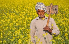 Vijay Mallya, Vijay Mallya Flee, Tamil Nadu, THANJAVUR, farmer loan, Loan Farmer