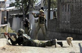 jammu and kashmir, local public threw stone on army, commander of lashkar e taiba escape, indian army, terrorist,