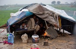 भारी बारिश से पाकिस्तान में तबाही, लगभग 50 की मौत