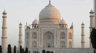 Taj Mahal, Agra Taj Mahal, Taj Mahal discolour, Taj Mahal News, Taj Mahal latest news