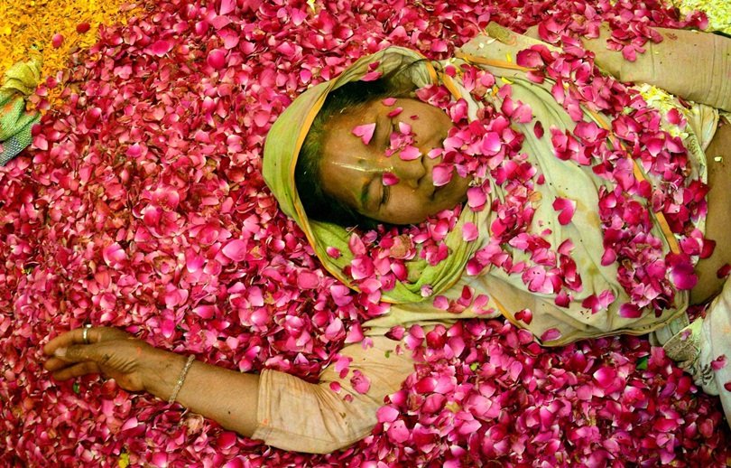 vrindavan widows Celebrate holi, vrindavan widows holi, widows holi vrindavan, Widow Holi in vrindavan, vrindavan Holi Widow, vrindavan Widow Holi Pic, Mathura