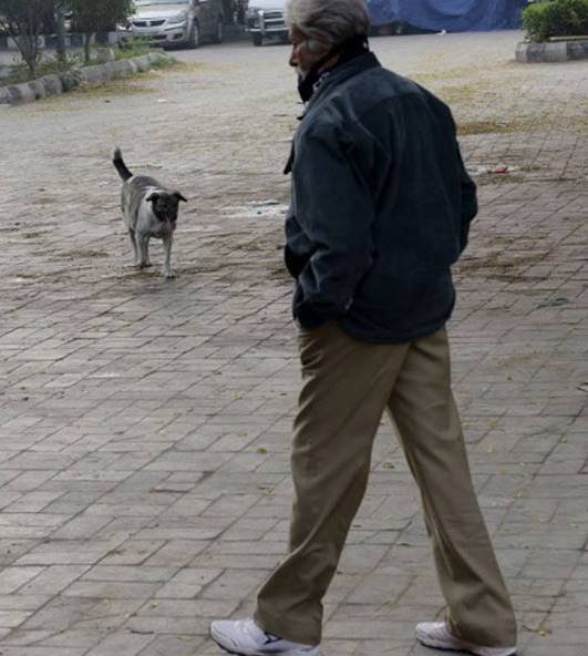 Amitabh Bachchan on Delhi roads , Amitabh bachchan new movie, Amitabh Bachchan, Amitabh Bachchan movies, Amitabh Bachchan upcoming movies, Amitabh Bachchan news, Amitabh Bachchan latest news, Amitabh Bachchan delhi, Amitabh Bachchan blog, entertainment news, amitabh bachchan Photos