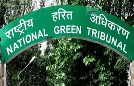 engine,mumbai,engines,asks,permits,auto,twostroke,ngt,autos,stand,govt,pande,clarify,cause,fourstroke,pollution