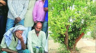 Ghulam Nabi Azad, Narendra Modi, Muslim cattle traders, latehar, Jharkhand, Azad Letter Modi, Latehar Cattle Traders
