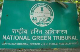 Sri Sri Ravi Shankar, Delhi Development Authority (DDA), National Green Tribunal (NGT), Yamuna floodplains