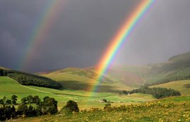 Rainbow colors, jansatta opinion, jansatta dunia mere aage, jansatta article