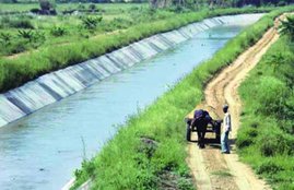 syl, syl canal, syl canal dispute, sc syl canal, delhi water, sutlej yamuna link, sutlej yamuna link canal, haryana agriculture minister om prakash dhankar, aap government, arvind kejriwal, kejriwal government, delhi chief minister, sutlej canal, yamuna canal, syl canal issue, delhi news, india news"