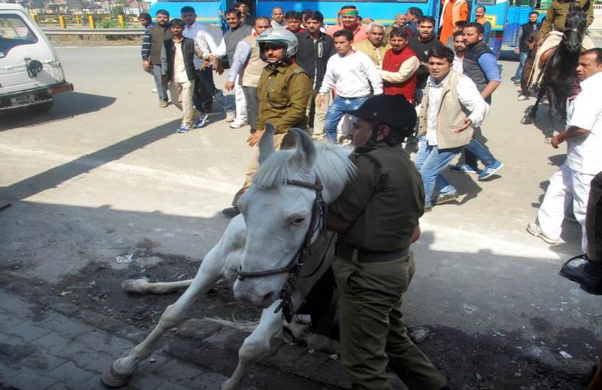 #ShaktimanSuffers, #Shaktimanpics, #Shaktimanphotos, BJP MLA, ganesh joshi, Ganesh Joshi, Shakitman. police horse shaktiman, BJP MLA shaktiman, GAnesh joshi Shaktiman, shaktiman ganesh joshi, india news