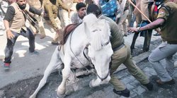 Shaktiman को लगाया गया कृत्रिम पैर, हमले के आरोप में BJP MLA गणेश जोशी गिरफ्तार