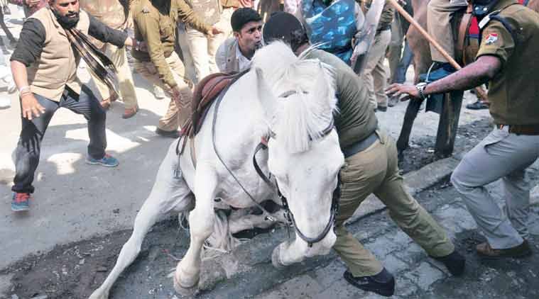 #ShaktimanSuffers, #Shaktimanpics, #Shaktimanphotos, BJP MLA, ganesh joshi, Ganesh Joshi, Shakitman. police horse shaktiman, BJP MLA shaktiman, GAnesh joshi Shaktiman, shaktiman ganesh joshi, india news