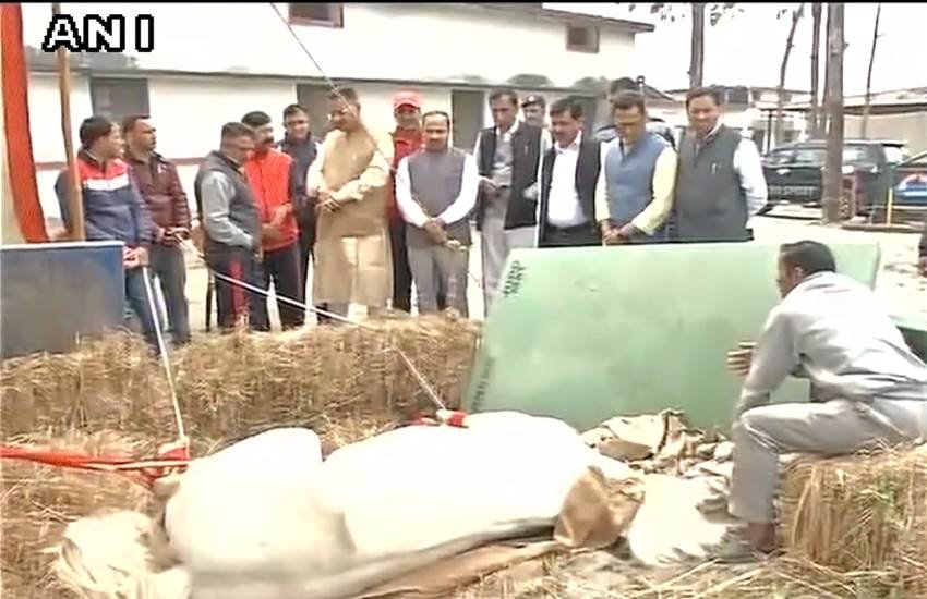 #ShaktimanSuffers, #Shaktimanpics, #Shaktimanphotos, BJP MLA, ganesh joshi, Ganesh Joshi, Shakitman. police horse shaktiman, BJP MLA shaktiman, GAnesh joshi Shaktiman, shaktiman ganesh joshi, india news