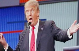 US presidential elections,Hillary Clinton,Donald Trump,Arizona primar, world news