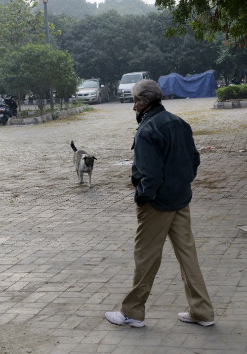 Amitabh Bachchan on Delhi roads , Amitabh bachchan new movie, Amitabh Bachchan, Amitabh Bachchan movies, Amitabh Bachchan upcoming movies, Amitabh Bachchan news, Amitabh Bachchan latest news, Amitabh Bachchan delhi, Amitabh Bachchan blog, entertainment news, amitabh bachchan Photos
