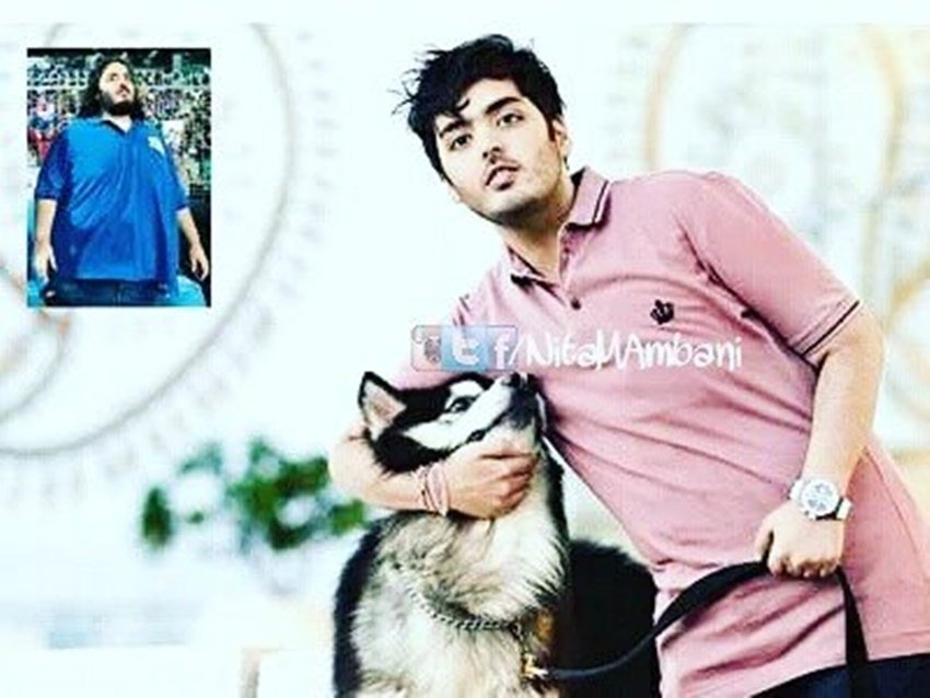 anant ambani, anant ambani weight, Anant Ambani weight loss, Anant ambani with his lost weight, How Anant Ambani lost Weight, Anant, anant Loos108Kg, Loosing 108Kg in 18 months, ‪‎NitaAmbani‬, ‎IPL‬, ‎IPL‬9, ‎IPL‬ 2016, Weight loss, sachin tendulkar, anant ambani family, anant ambani training, anant ambani trainer, anant ambani fat to fit, anant ambani photo, anant ambani fit photo, anant ambani on twitter