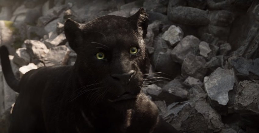 The Jungle Book, the jungle book u/a, The Jungle Book India, Priyanka Chopra Jungle Book, irffan khan, Mukesh bhatt, Ayushmann Khurrana, Jungle Book UA, Jungle Book Rating, censor board, pahlaj nihalani, the jungle book u/a certificate, the jungle book release, the jungle book censor board, the jungle book cbfc, the jungle book story, the jungle book series, hollywood news, the jungle book news, entertainment news