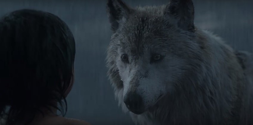 The Jungle Book, the jungle book u/a, The Jungle Book India, Priyanka Chopra Jungle Book, irffan khan, Mukesh bhatt, Ayushmann Khurrana, Jungle Book UA, Jungle Book Rating, censor board, pahlaj nihalani, the jungle book u/a certificate, the jungle book release, the jungle book censor board, the jungle book cbfc, the jungle book story, the jungle book series, hollywood news, the jungle book news, entertainment news