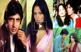 panama papers, #panamapapers, amitabh bachchan, panama papers Amitabh Bachchan, Amitabh Bachchan panama leaks, save tigers, amitabh bachchan save tigers, save tigers ambassador, india news