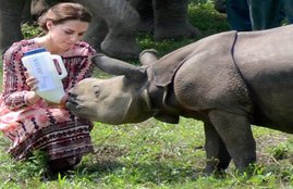 prince william, kate middleton, kaziranga national park, Royal Couple kaziranga, assam