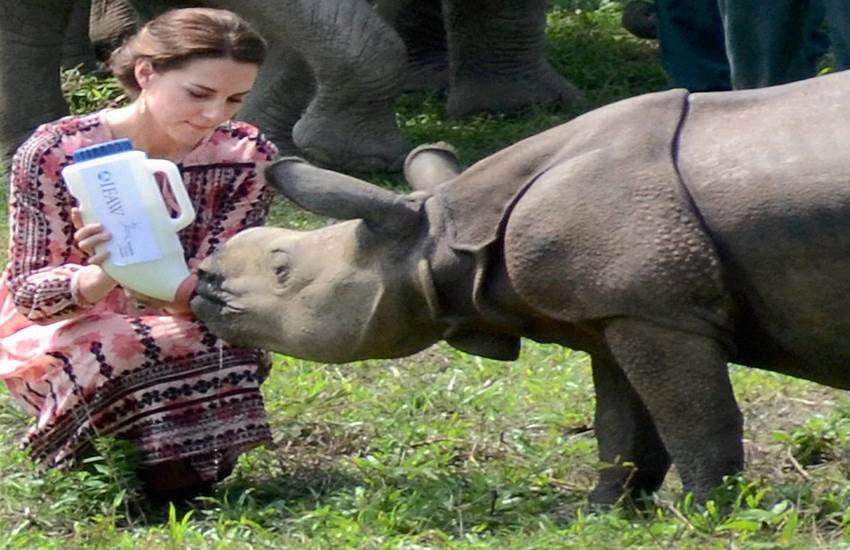 prince william, kate middleton, kaziranga national park, Royal Couple kaziranga, assam